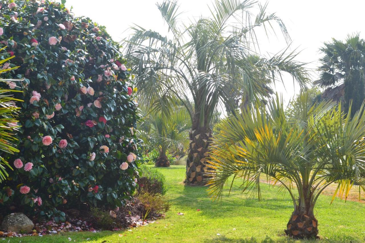 Chambres D'Hotes Le Nid D'Iroise Lanildut المظهر الخارجي الصورة