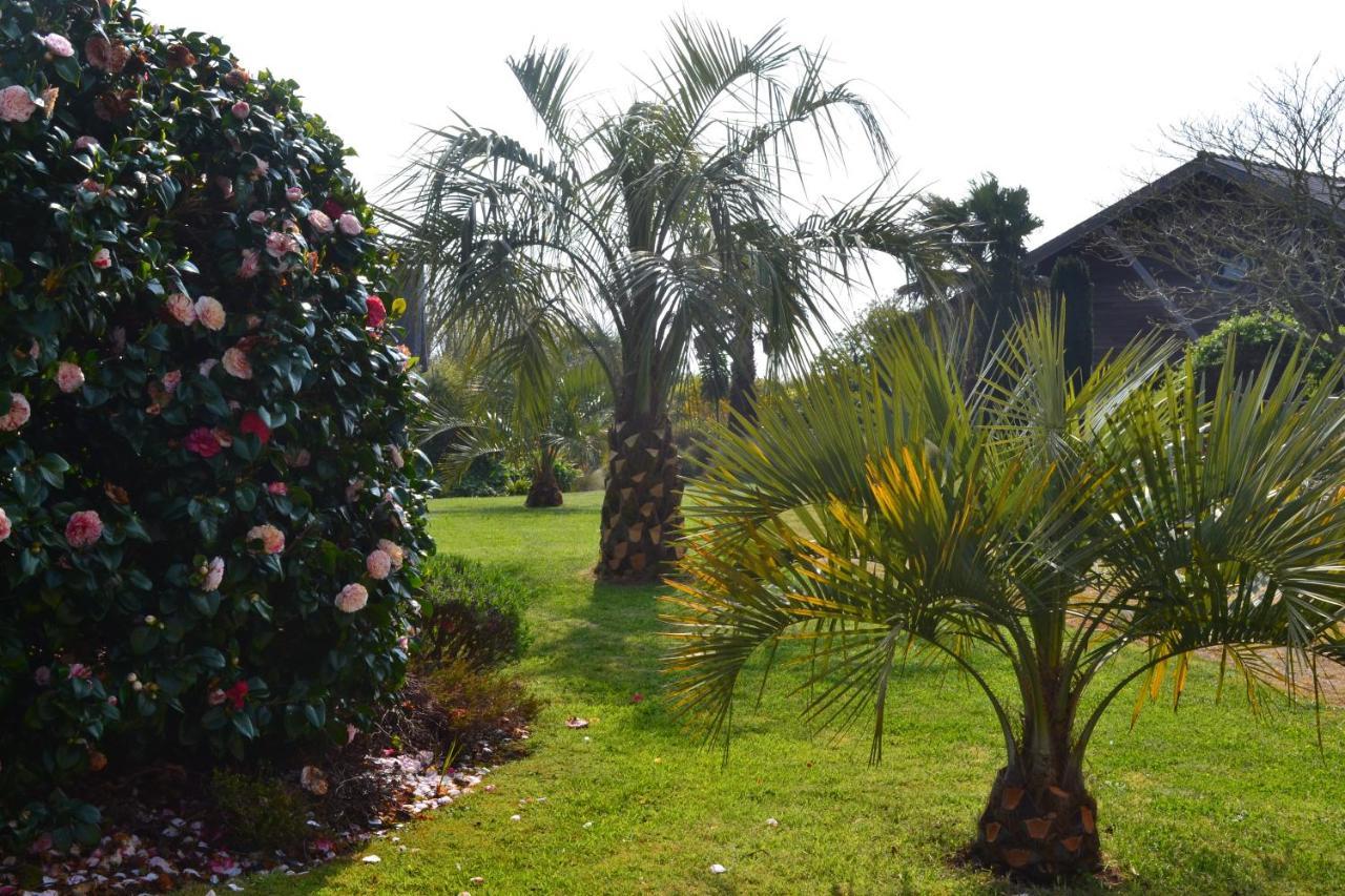 Chambres D'Hotes Le Nid D'Iroise Lanildut المظهر الخارجي الصورة